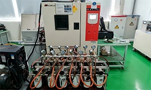 Камеры высокотемпературного и низкотемпературного хранения